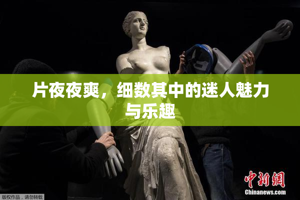 片夜夜爽，细数其中的迷人魅力与乐趣