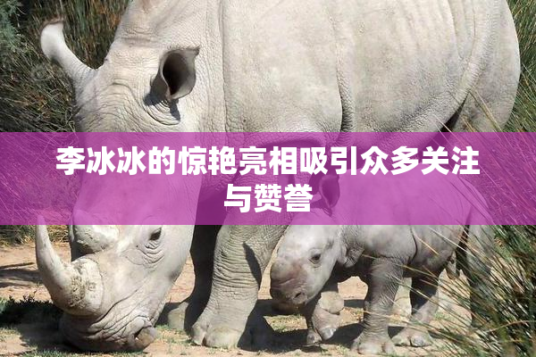 李冰冰的惊艳亮相吸引众多关注与赞誉