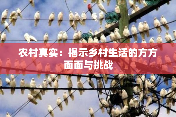 农村真实：揭示乡村生活的方方面面与挑战