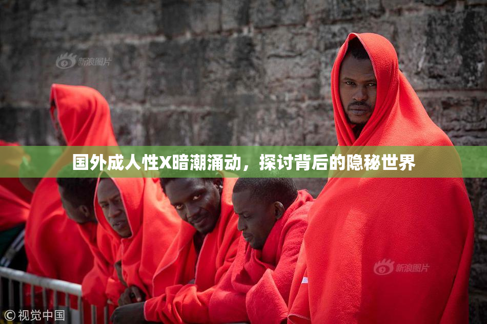 国外成人性X暗潮涌动，探讨背后的隐秘世界