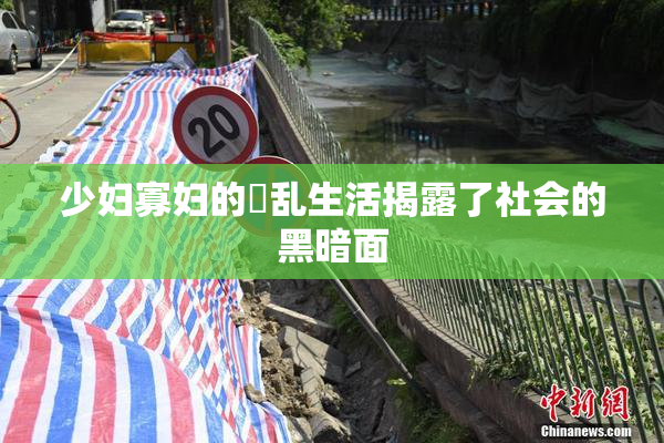 少妇寡妇的婬乱生活揭露了社会的黑暗面