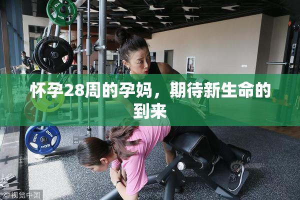 怀孕28周的孕妈，期待新生命的到来