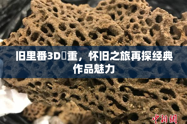 旧里番3D姉重，怀旧之旅再探经典作品魅力