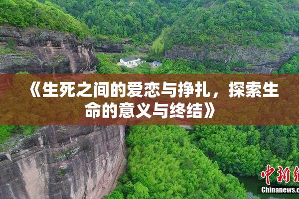 《生死之间的爱恋与挣扎，探索生命的意义与终结》