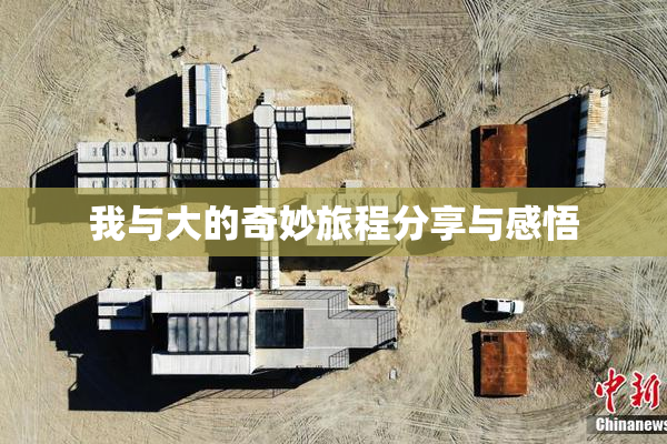 我与大的奇妙旅程分享与感悟