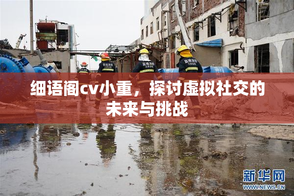 细语阁cv小重，探讨虚拟社交的未来与挑战