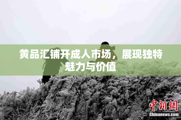 黄品汇铺开成人市场，展现独特魅力与价值
