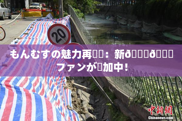 もんむすの魅力再発見：新👅🍑ファンが増加中！