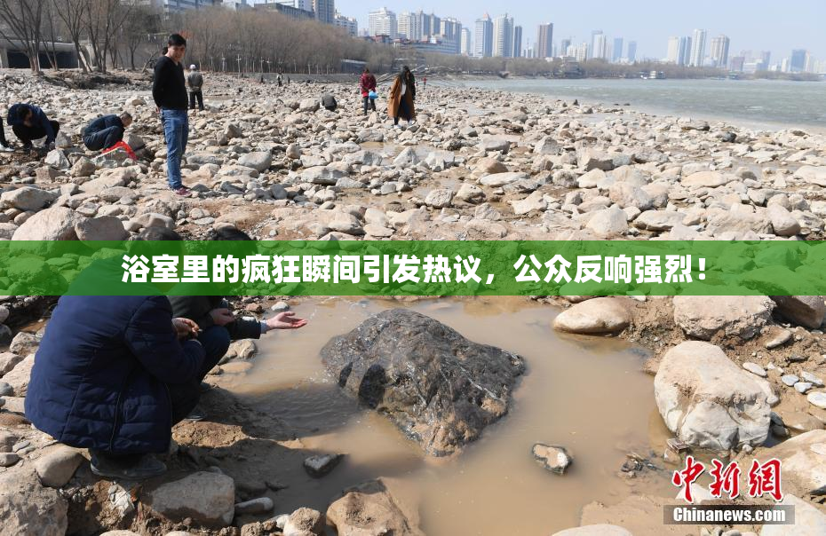 浴室里的疯狂瞬间引发热议，公众反响强烈！