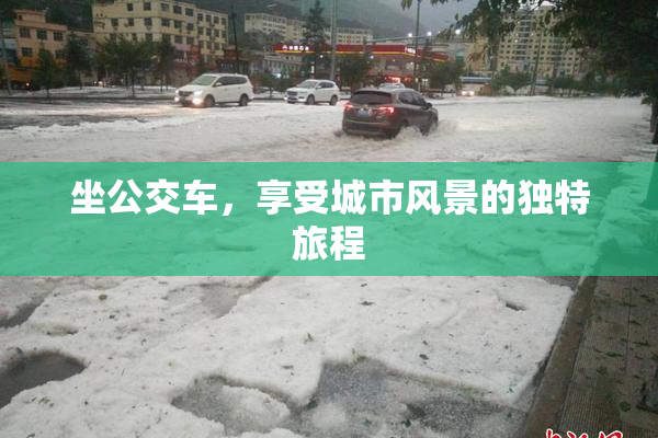 坐公交车，享受城市风景的独特旅程