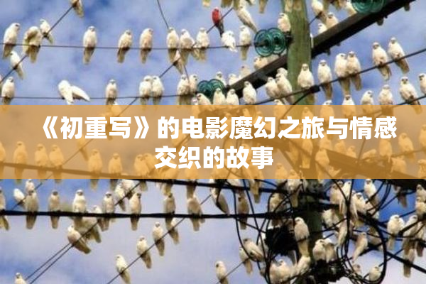 《初重写》的电影魔幻之旅与情感交织的故事