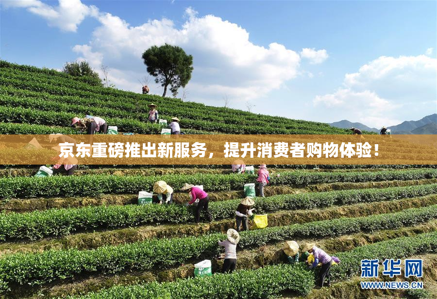 京东重磅推出新服务，提升消费者购物体验！