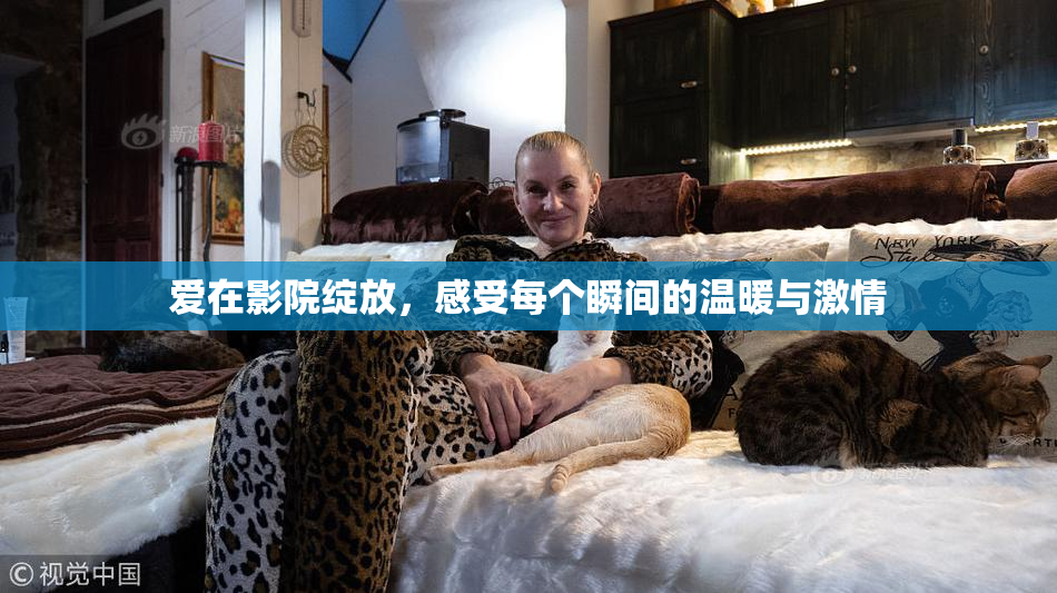 爱在影院绽放，感受每个瞬间的温暖与激情