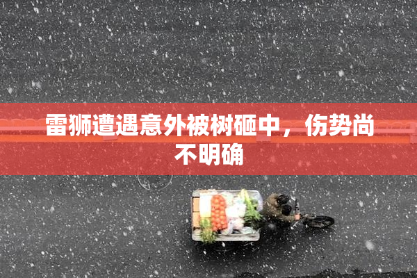 雷狮遭遇意外被树砸中，伤势尚不明确