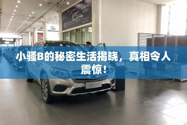 小骚B的秘密生活揭晓，真相令人震惊！