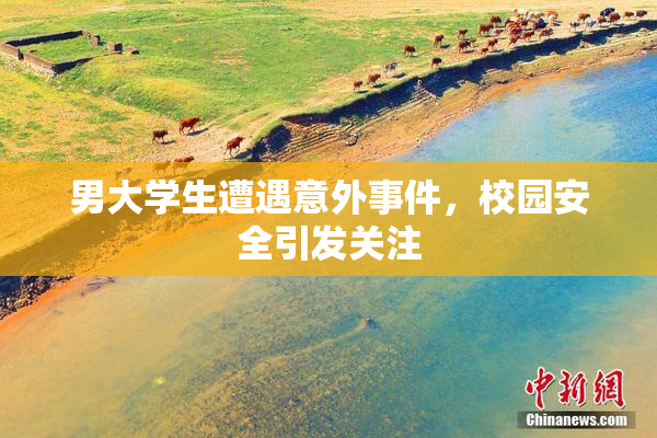 男大学生遭遇意外事件，校园安全引发关注