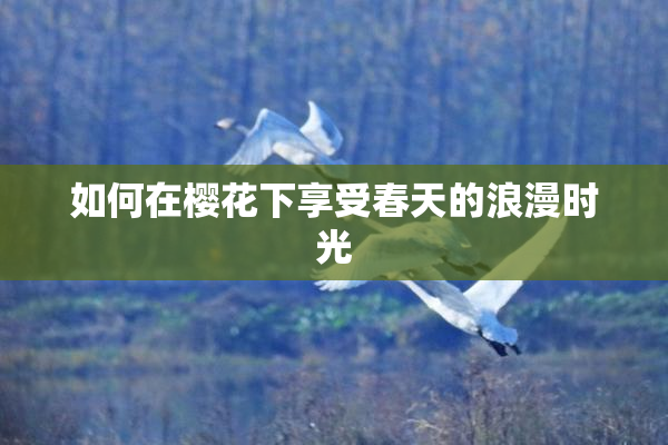 如何在樱花下享受春天的浪漫时光