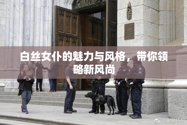 白丝女仆的魅力与风格，带你领略新风尚