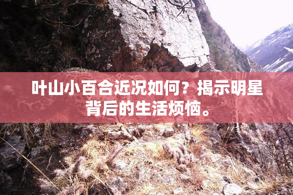 叶山小百合近况如何？揭示明星背后的生活烦恼。