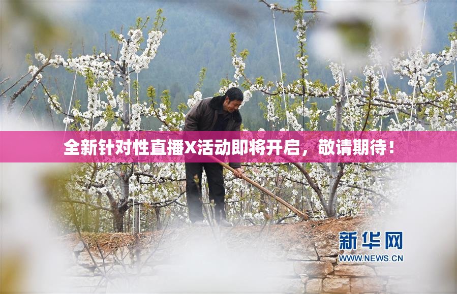 全新针对性直播X活动即将开启，敬请期待！