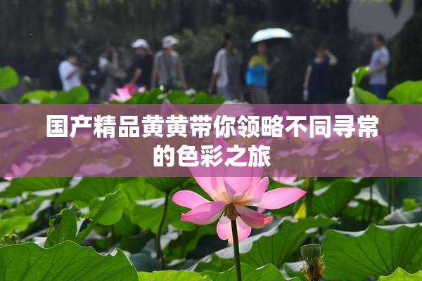 国产精品黄黄带你领略不同寻常的色彩之旅