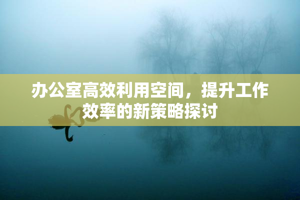 办公室高效利用空间，提升工作效率的新策略探讨