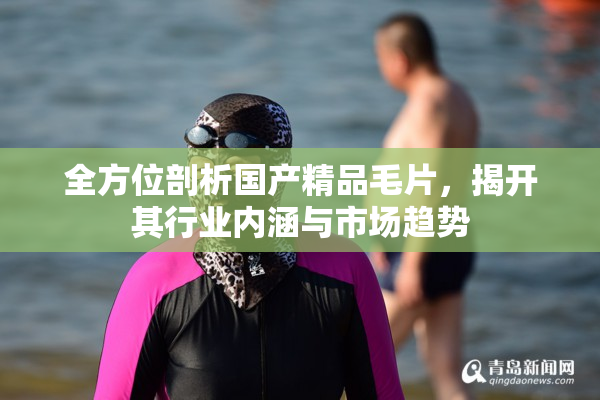 全方位剖析国产精品毛片，揭开其行业内涵与市场趋势