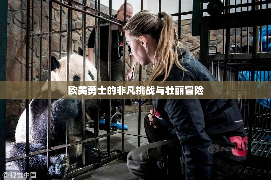 欧美勇士的非凡挑战与壮丽冒险