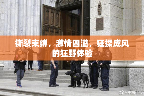 撕裂束缚，激情四溢，狂揉成风的狂野体验