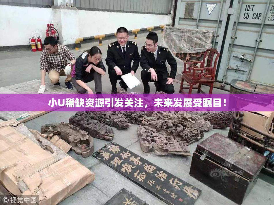 小U稀缺资源引发关注，未来发展受瞩目！