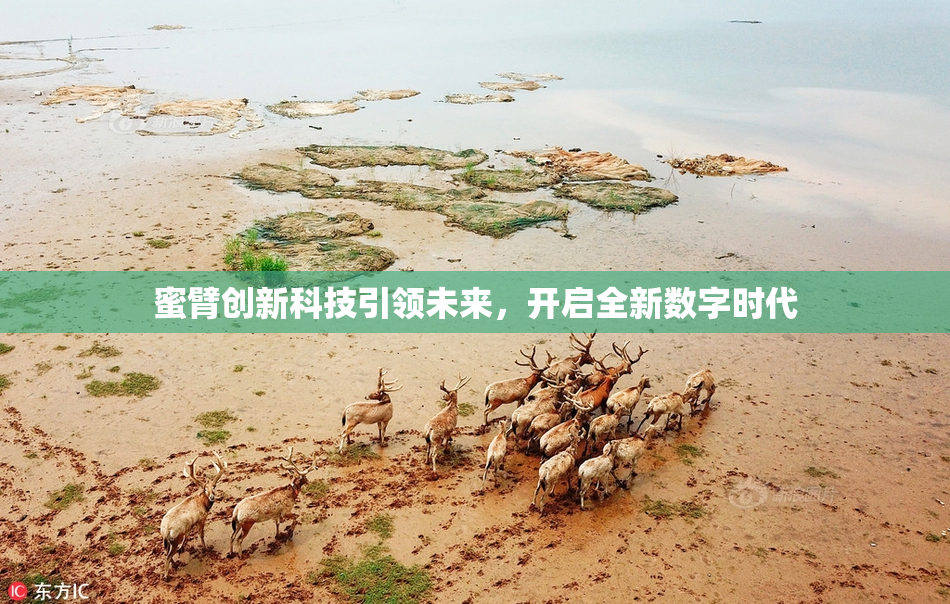 蜜臂创新科技引领未来，开启全新数字时代
