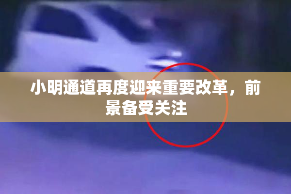 小明通道再度迎来重要改革，前景备受关注