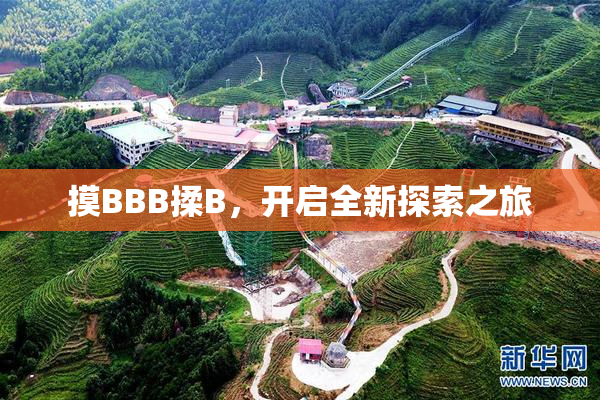 摸BBB揉B，开启全新探索之旅