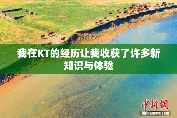 我在KT的经历让我收获了许多新知识与体验