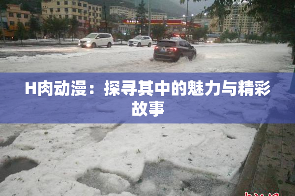 H肉动漫：探寻其中的魅力与精彩故事