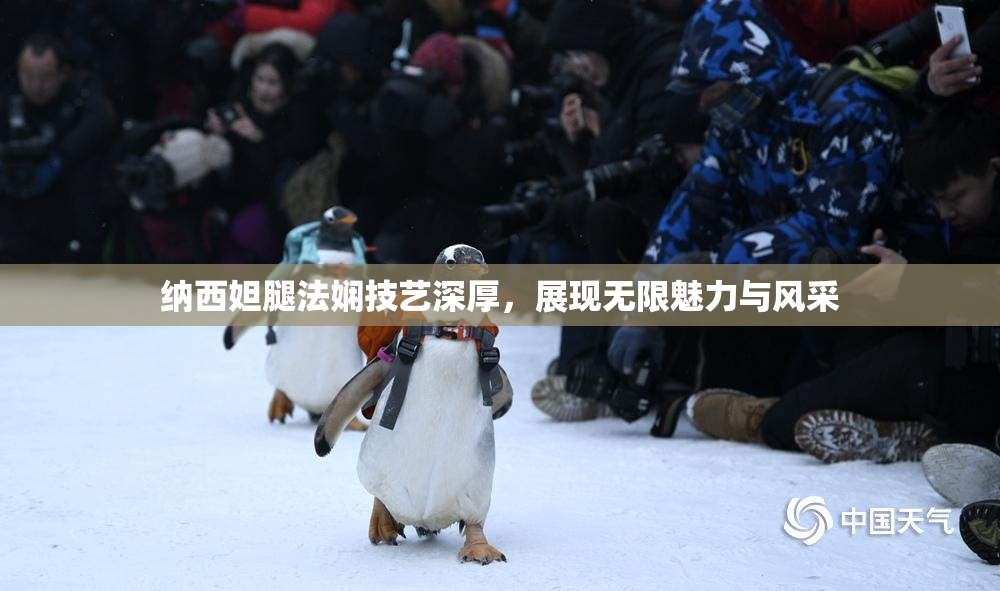纳西妲腿法娴技艺深厚，展现无限魅力与风采