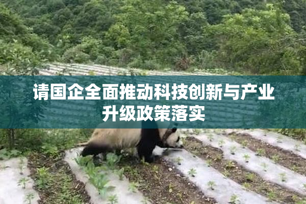 请国企全面推动科技创新与产业升级政策落实
