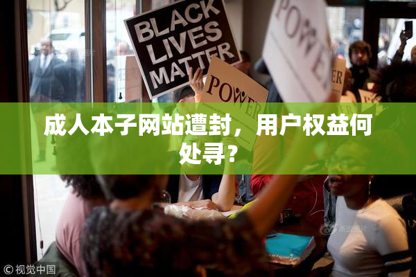 成人本子网站遭封，用户权益何处寻？