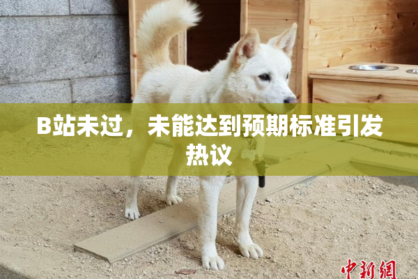 B站未过，未能达到预期标准引发热议