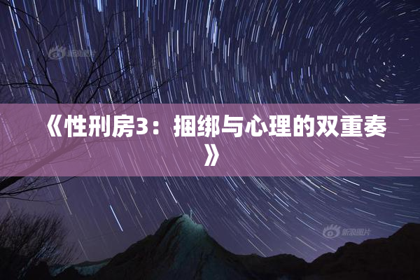 《性刑房3：捆绑与心理的双重奏》