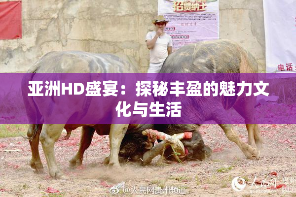 亚洲HD盛宴：探秘丰盈的魅力文化与生活
