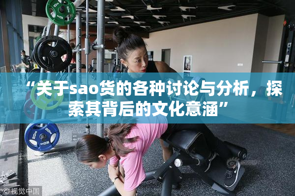 “关于sao货的各种讨论与分析，探索其背后的文化意涵”