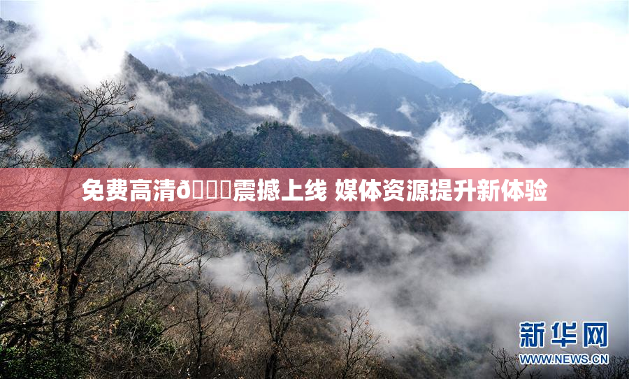 免费高清🔞震撼上线 媒体资源提升新体验