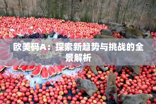 欧美码A：探索新趋势与挑战的全景解析