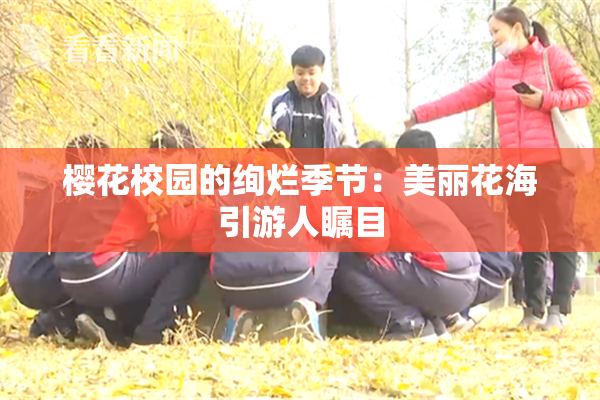 樱花校园的绚烂季节：美丽花海引游人瞩目