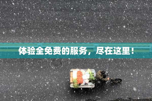 体验全免费的服务，尽在这里！