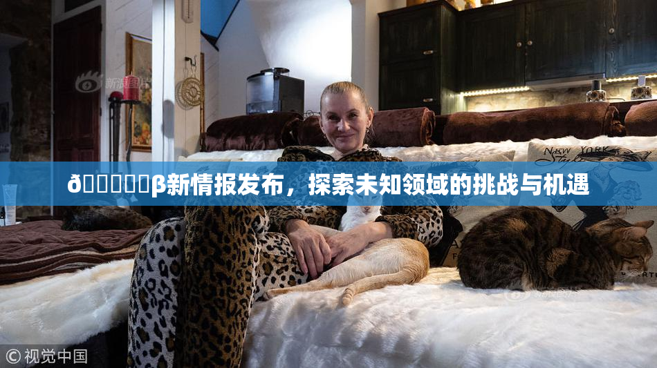 🍆❌‌β新情报发布，探索未知领域的挑战与机遇