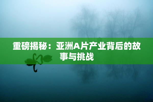 重磅揭秘：亚洲A片产业背后的故事与挑战