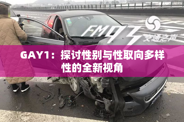 GAY1：探讨性别与性取向多样性的全新视角