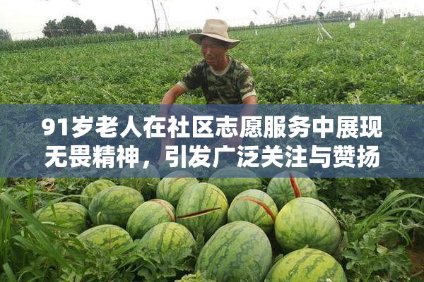 91岁老人在社区志愿服务中展现无畏精神，引发广泛关注与赞扬
